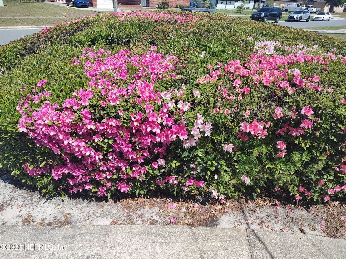 Photo of 6204 DIANE Road