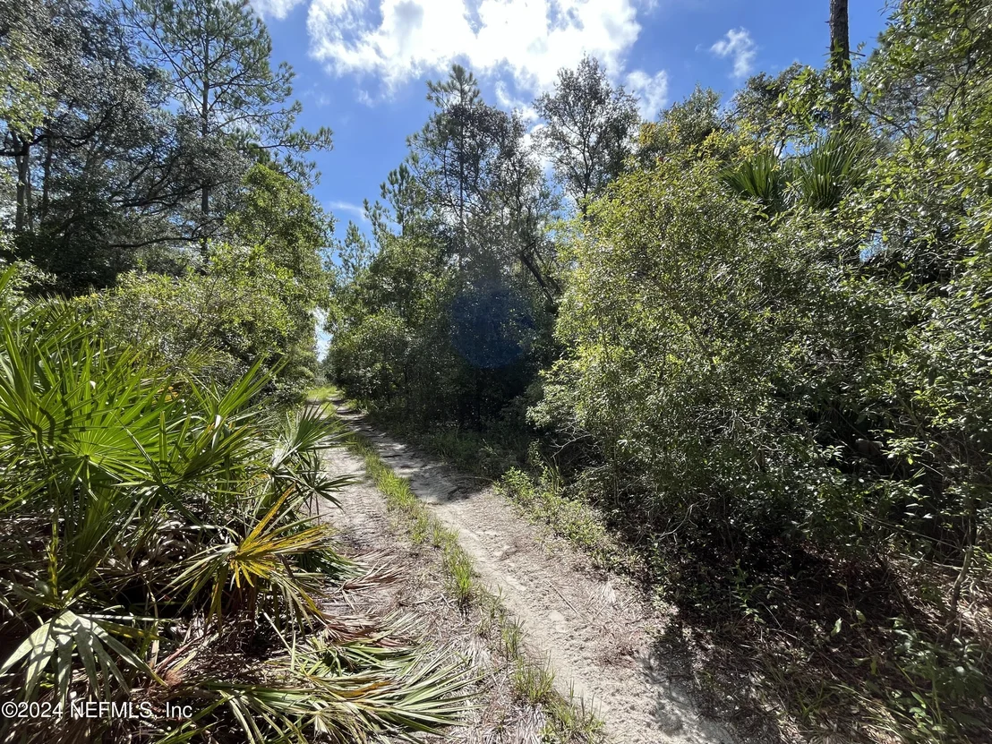 Photo of 252 BREWSTER Street