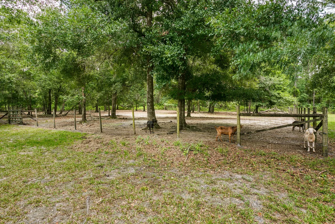 Photo of 3185 JOE ASHTON Road