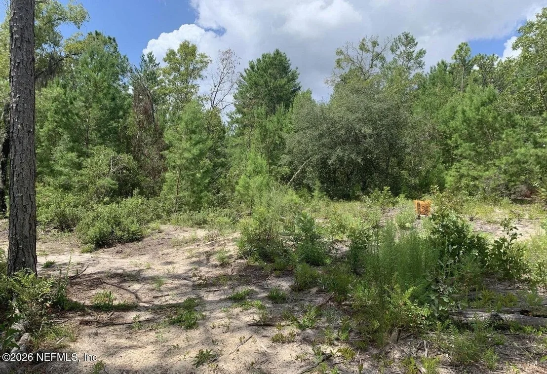 Photo of 403 LILY Trail