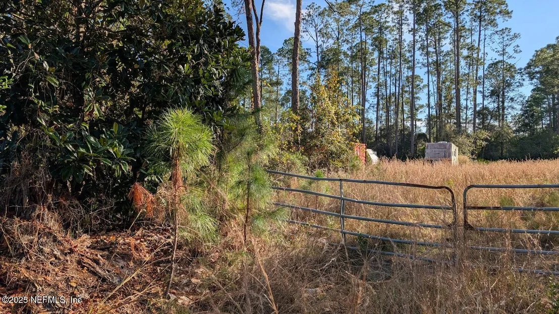 Photo of 113 WHITE PINE Lane
