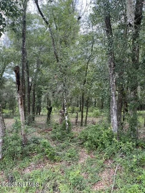 Photo of 607 COUSINTOWN RD Road