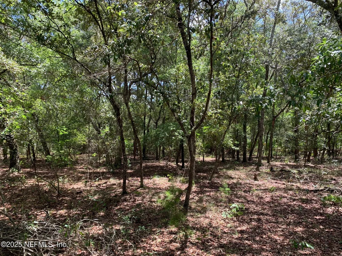 Photo of 126 PECAN Avenue