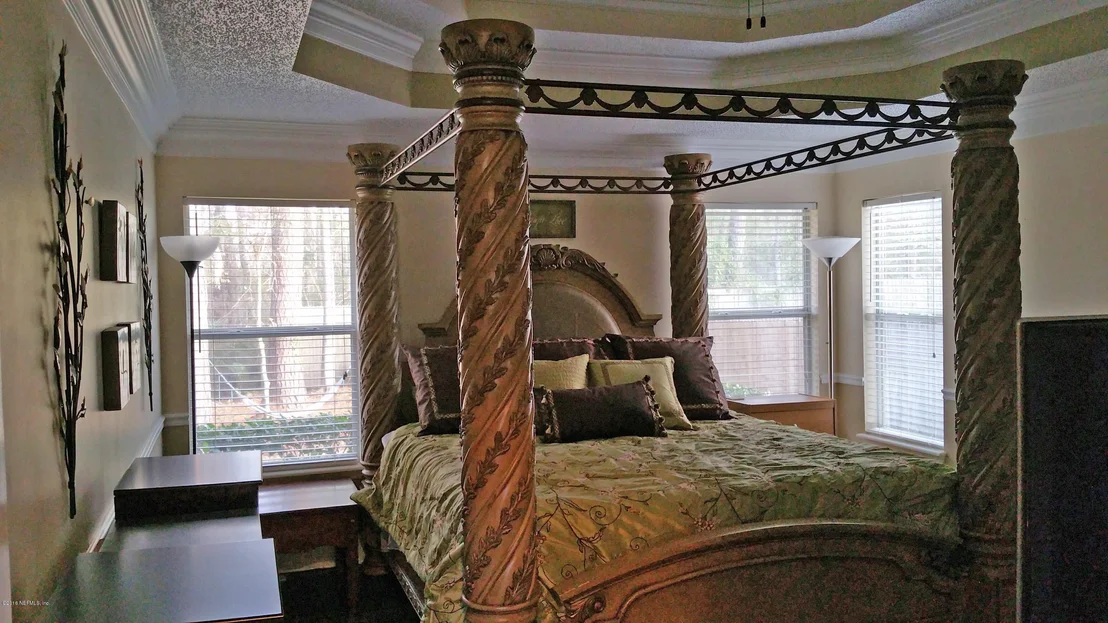 Photo of 11544 ALEXIS FOREST Drive