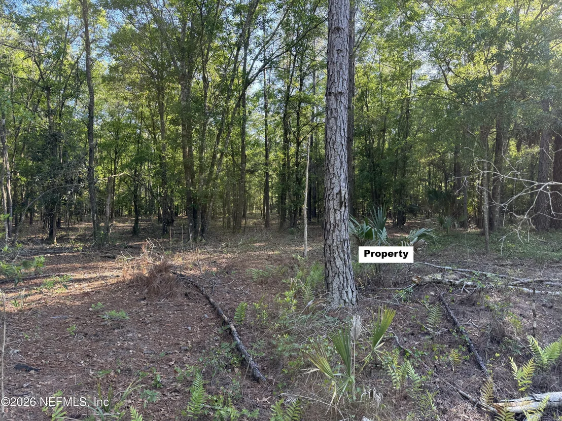 Photo of 329 CHIPOLA Drive