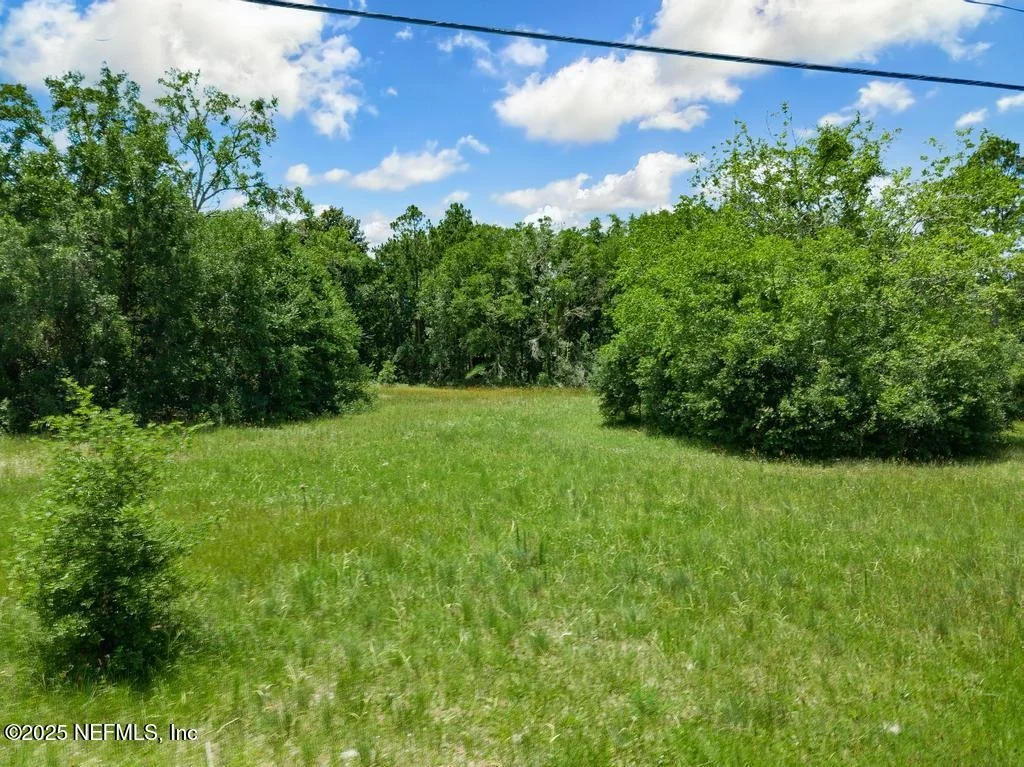 Photo of 50 BIRD Road