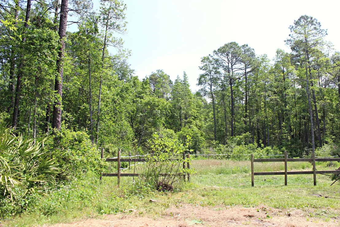Photo of 86158 LOFTON Court