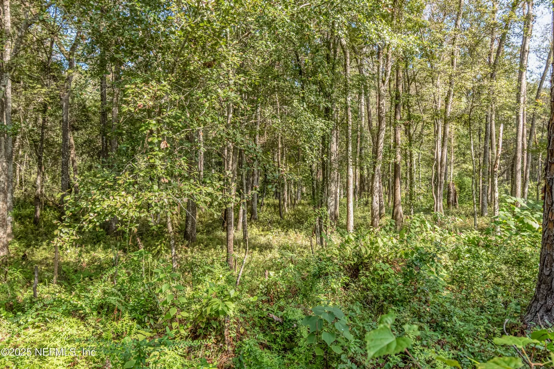 Photo of 5577 MYRTLE Road