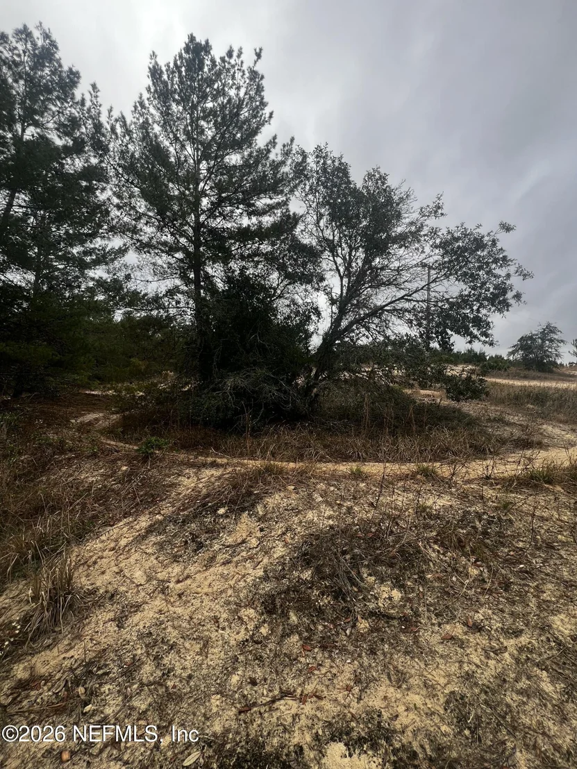 Photo of 226 RIDGE Road