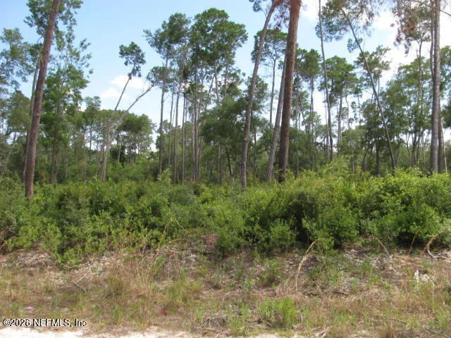 Photo of 115 SANDPIPER Lane