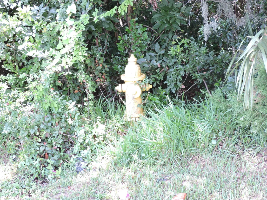 Photo of 12544 YELLOW BLUFF Road