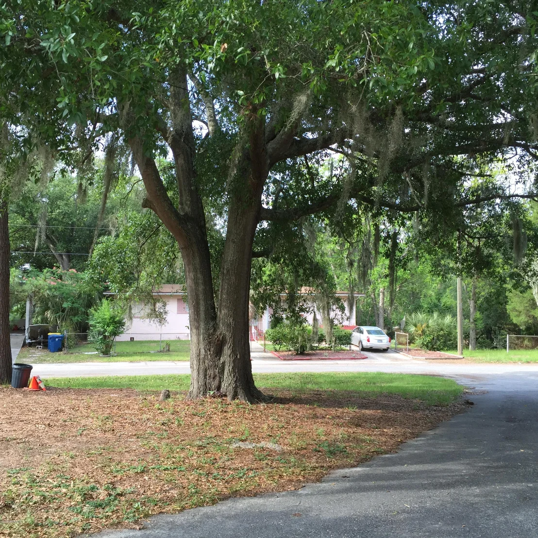 Photo of 1230 RIBAULT RIVER Drive
