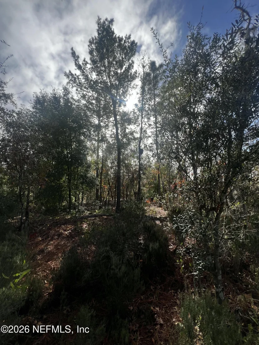 Photo of 307 LEMON Street