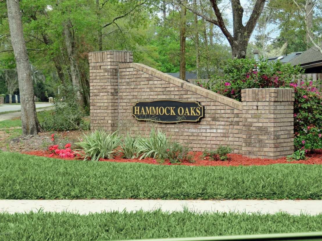 Photo of 12094 HAMMOCK OAKS Drive