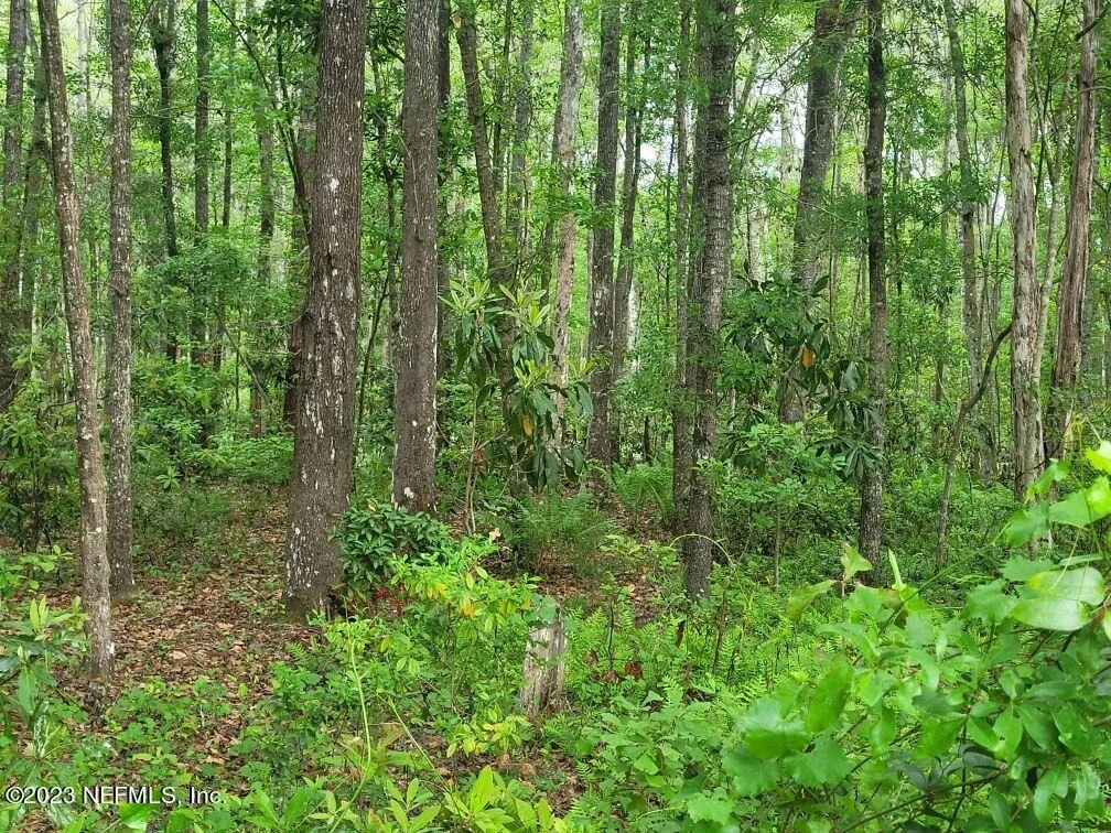 Photo of 2777 COUNTY RD 220