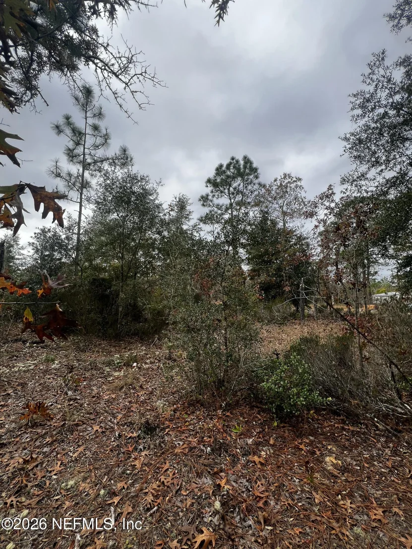 Photo of 307 LEMON Street