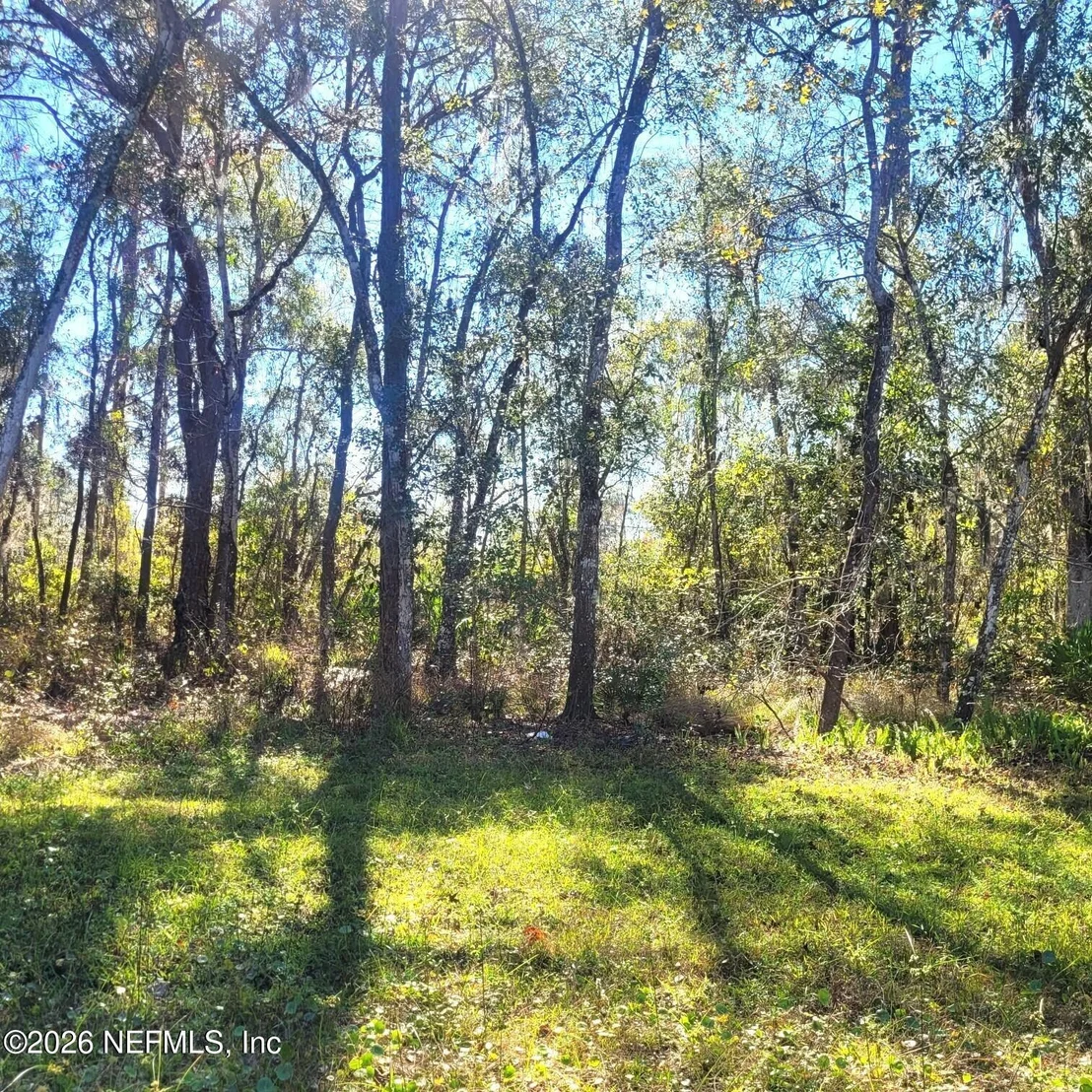 Photo of 000 MOSS Drive