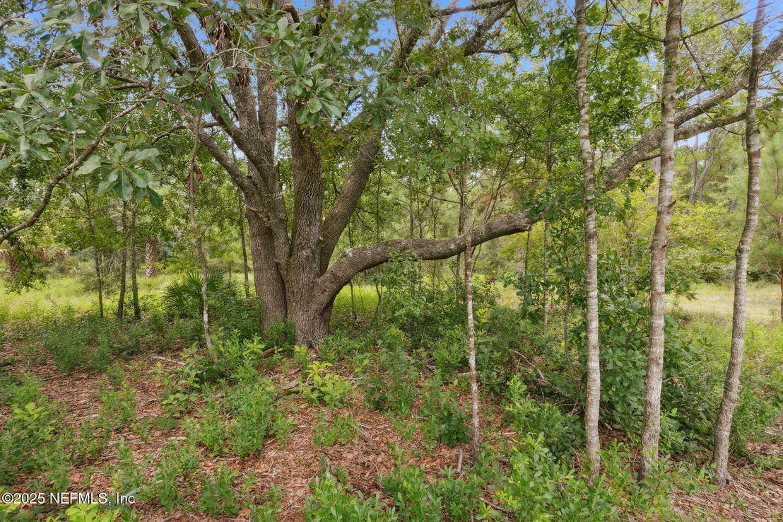 Photo of 37334 ALICE Street