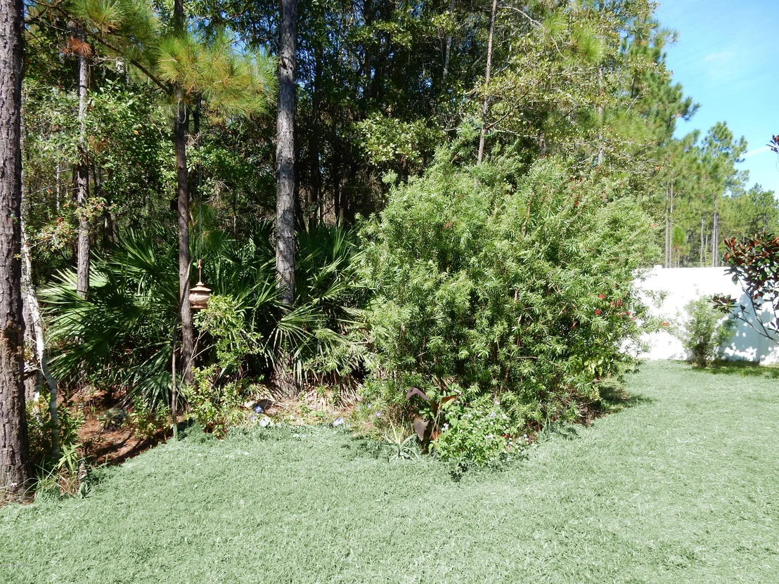 Photo of 65 FEVER HAMMOCK Drive
