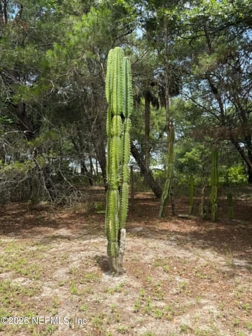 Photo of 508 GEORGETOWN SHORTCUT Road