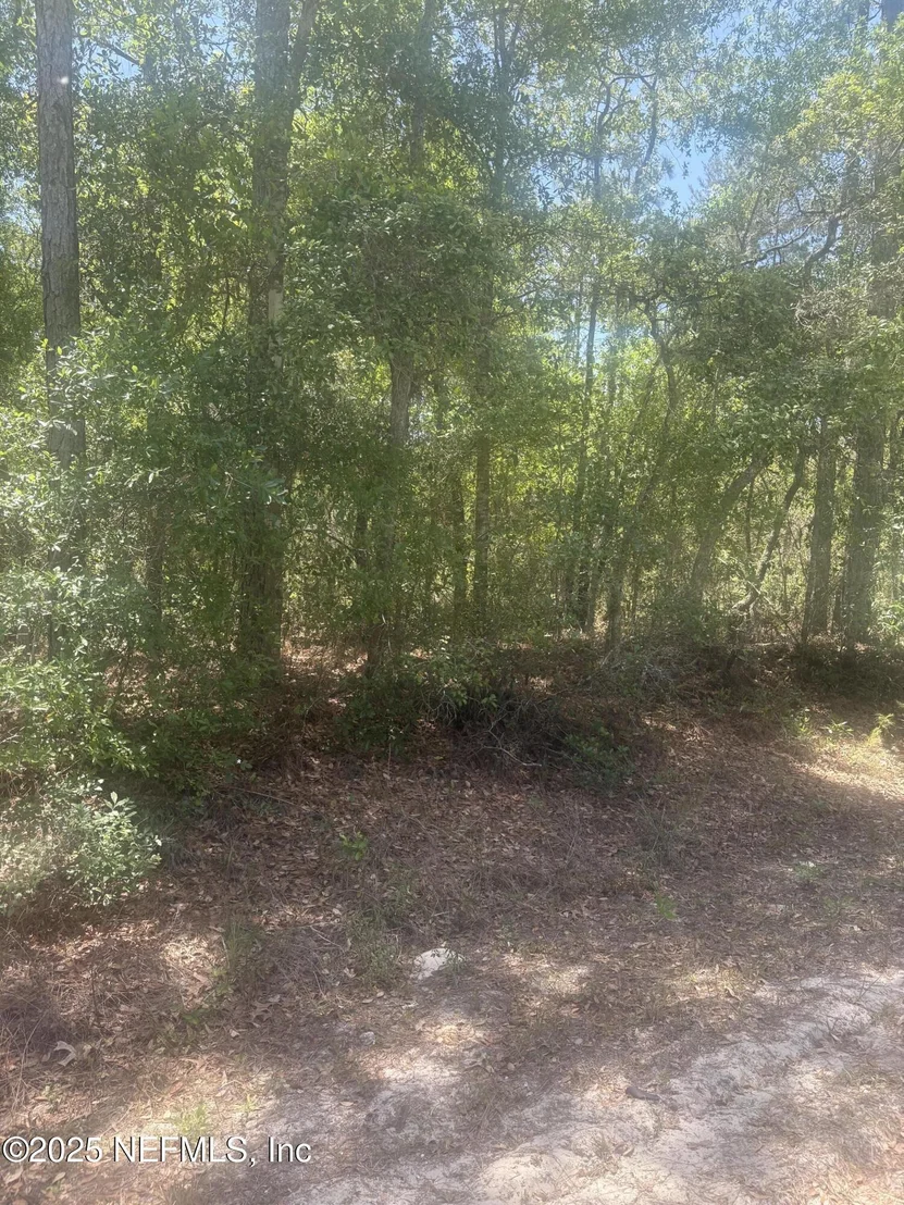 Photo of 303 HICKORY NUT TRAIL Trail