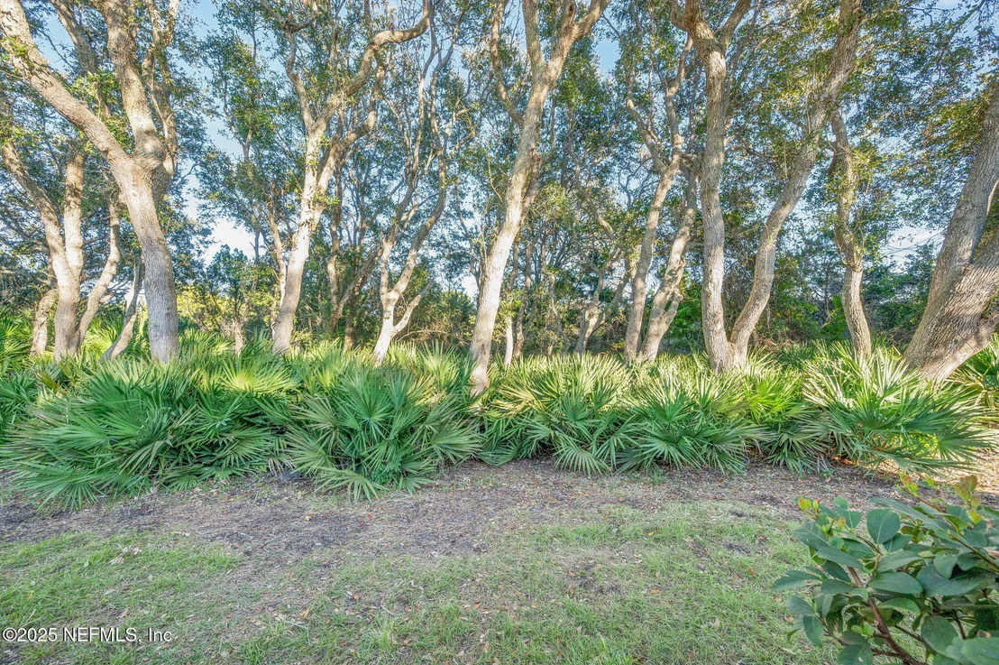 Photo of 284 SAN NICOLAS Way