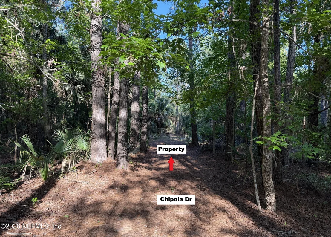 Photo of 329 CHIPOLA Drive