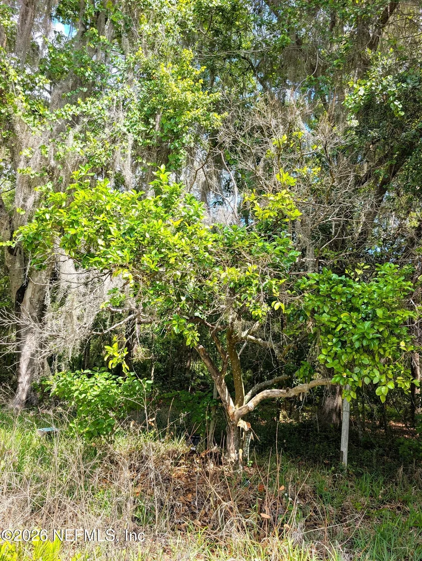 Photo of 116 BISCAYNE Drive