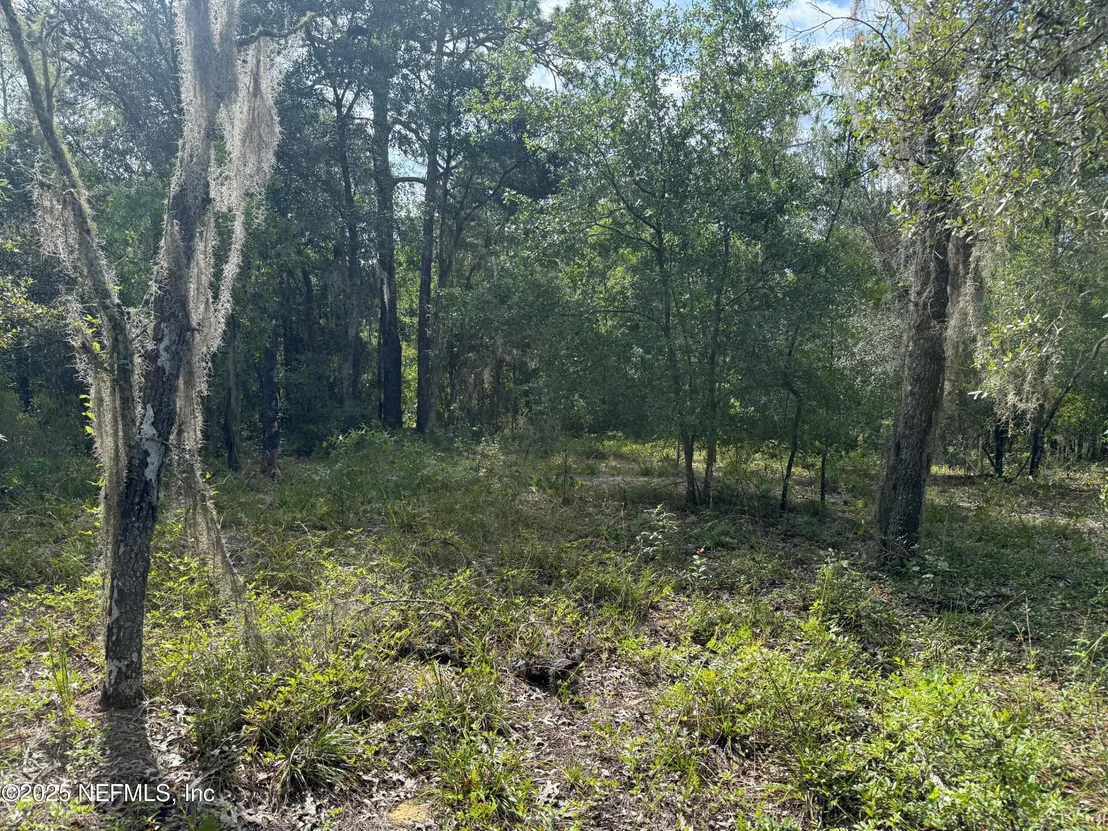 Photo of 151 LONG BRANCH Trail