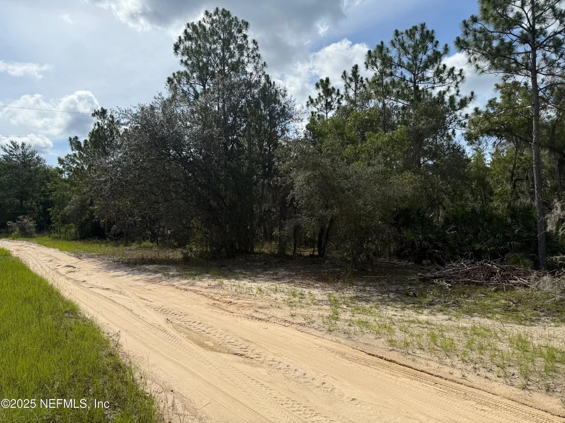 Photo of 151 LONG BRANCH Trail