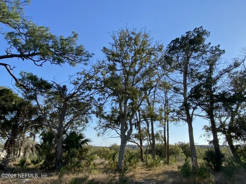 Photo of 220 PELICAN REEF Drive