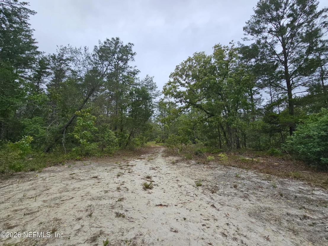 Photo of 248 SADDLEBACK Trail