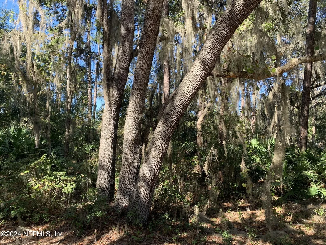 Photo of 105 PALMER Drive