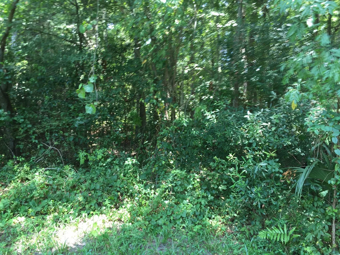 Photo of 911 COLE Road