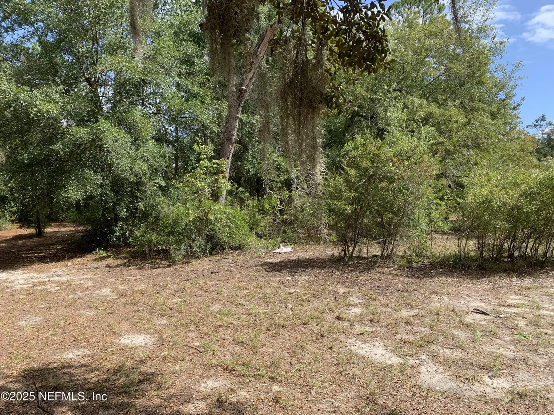 Photo of 114 & 116 WILLOW Street
