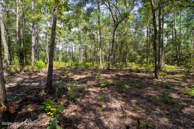 Photo of 4406 LORI LOOP Road