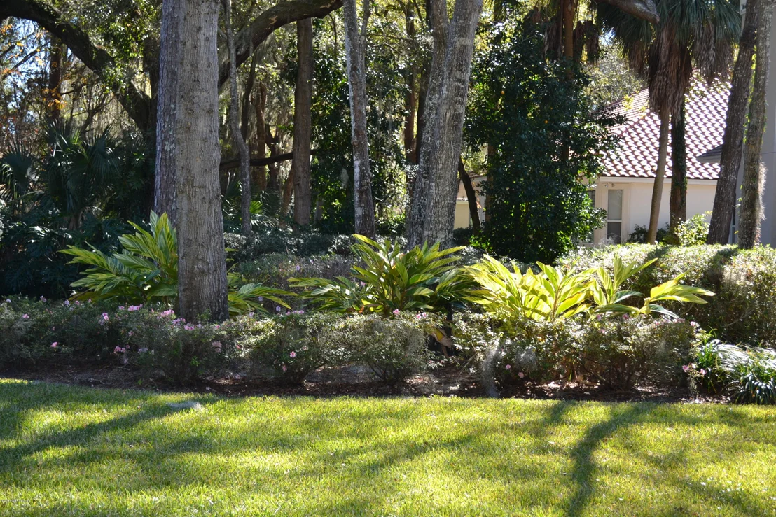 Photo of 1335 MARSH HARBOR Drive