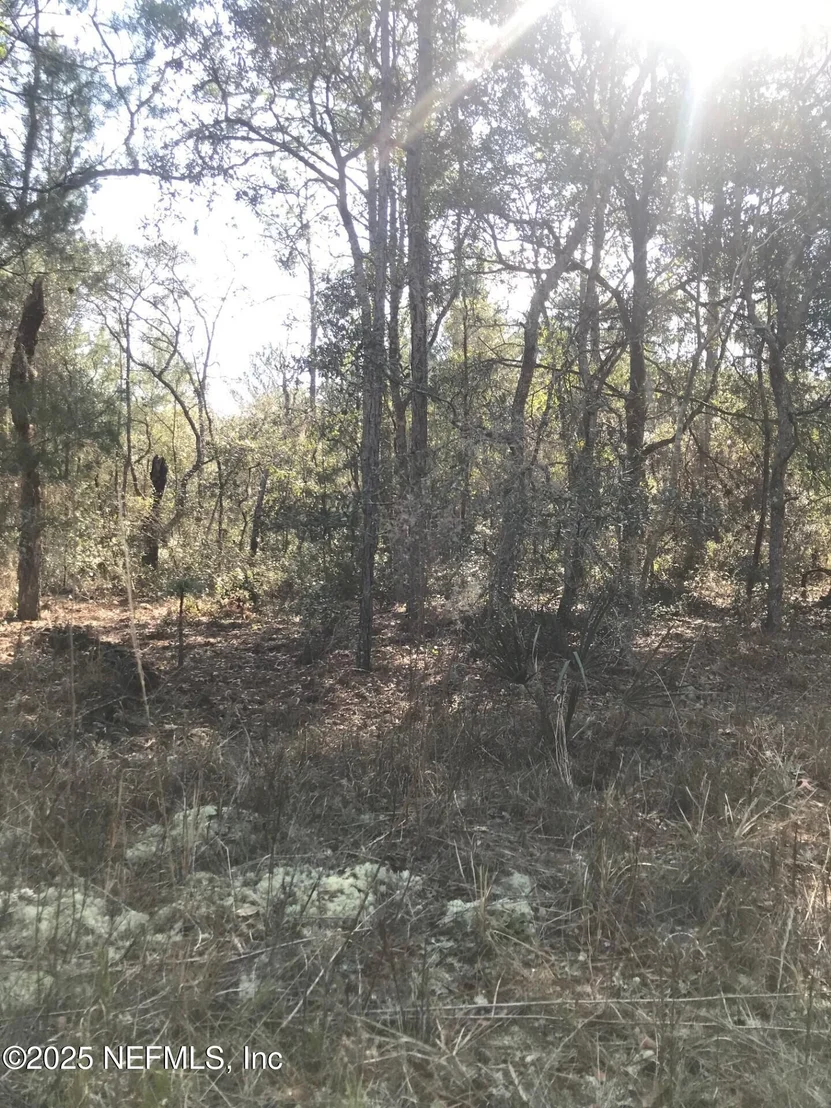 Photo of 404 MOURNING DOVE Road