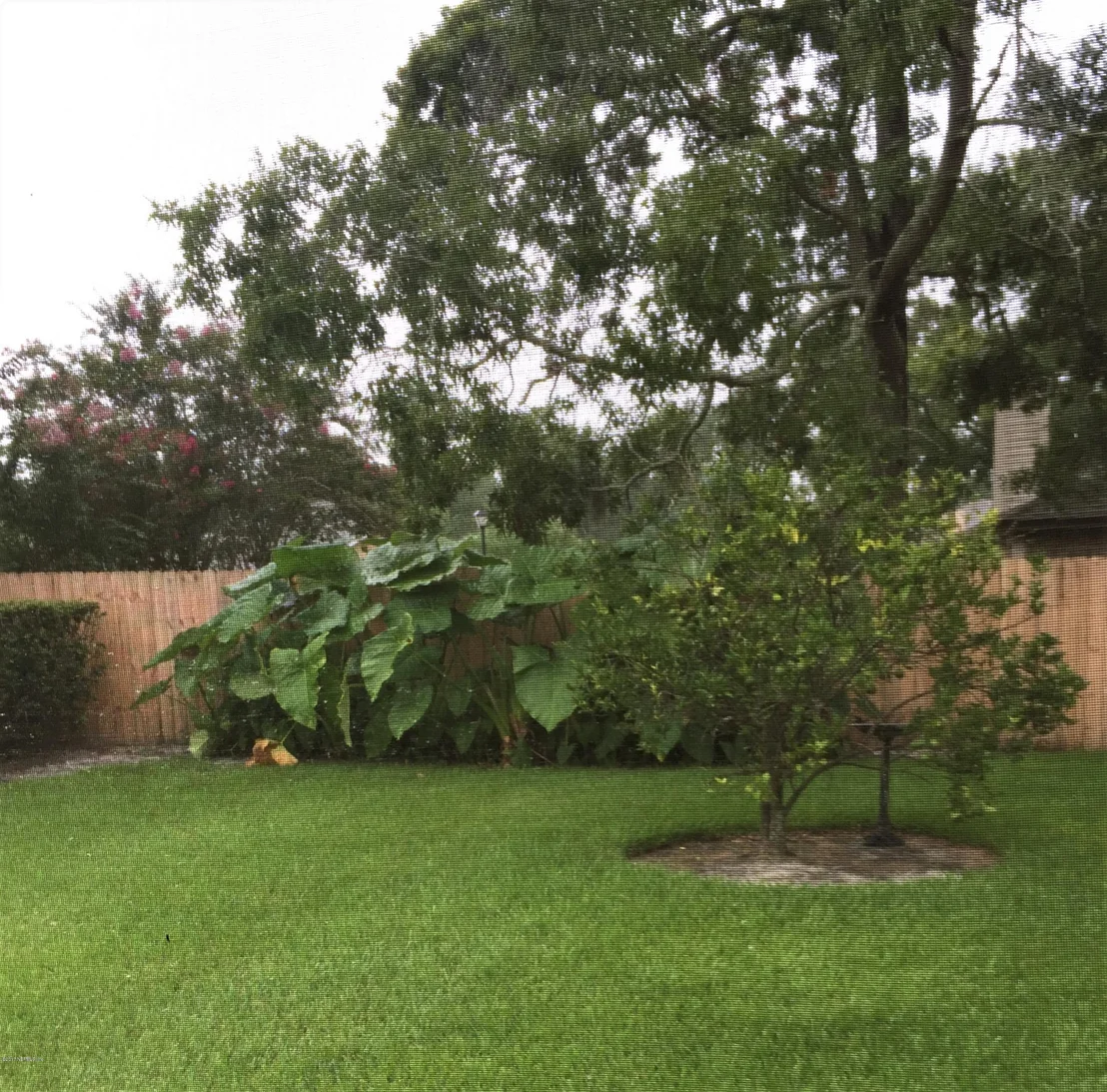 Photo of 4575 SHAKY LEAF Lane N