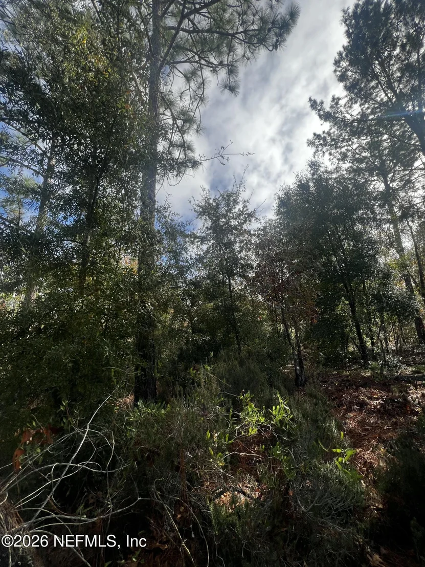 Photo of 307 LEMON Street