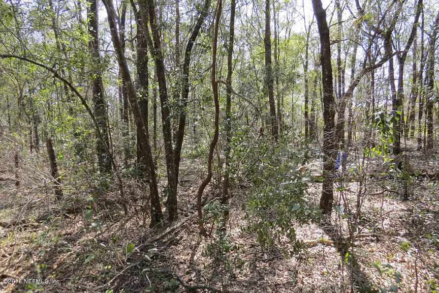 Photo of 4267 CHOKEBERRY Road