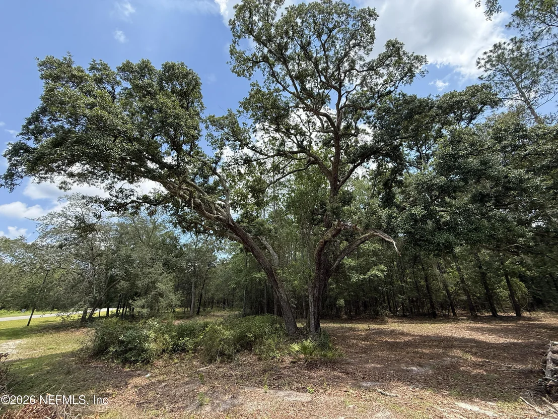 Photo of 15422 BULLOCK BLUFF RD Road