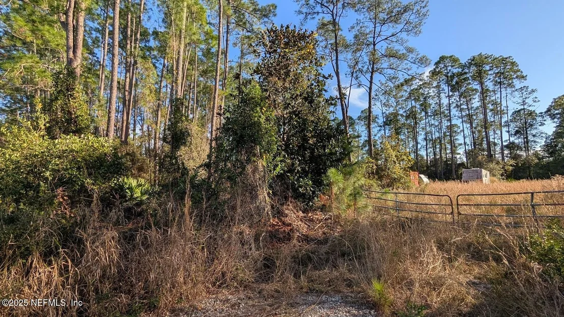 Photo of 113 WHITE PINE Lane
