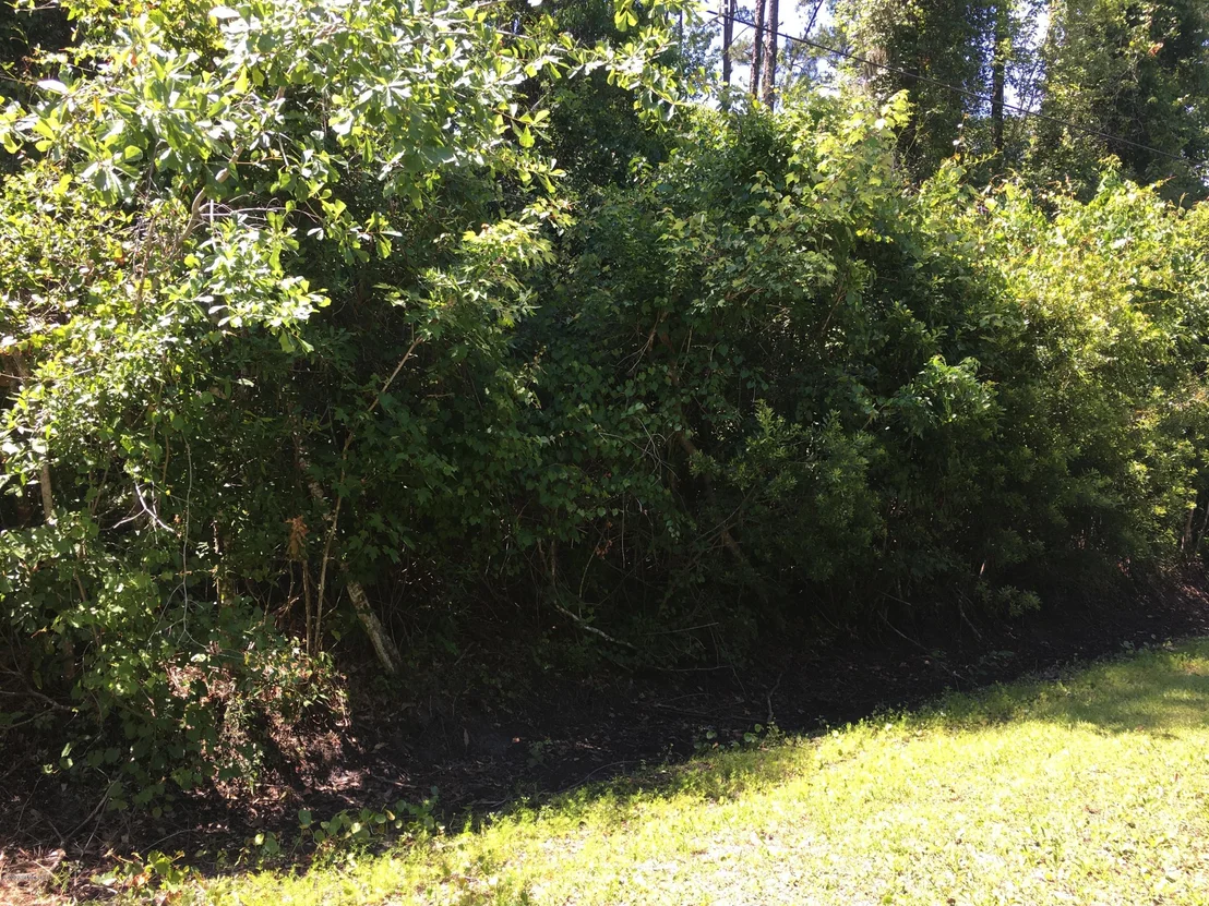 Photo of 366 CIRCLE Drive W