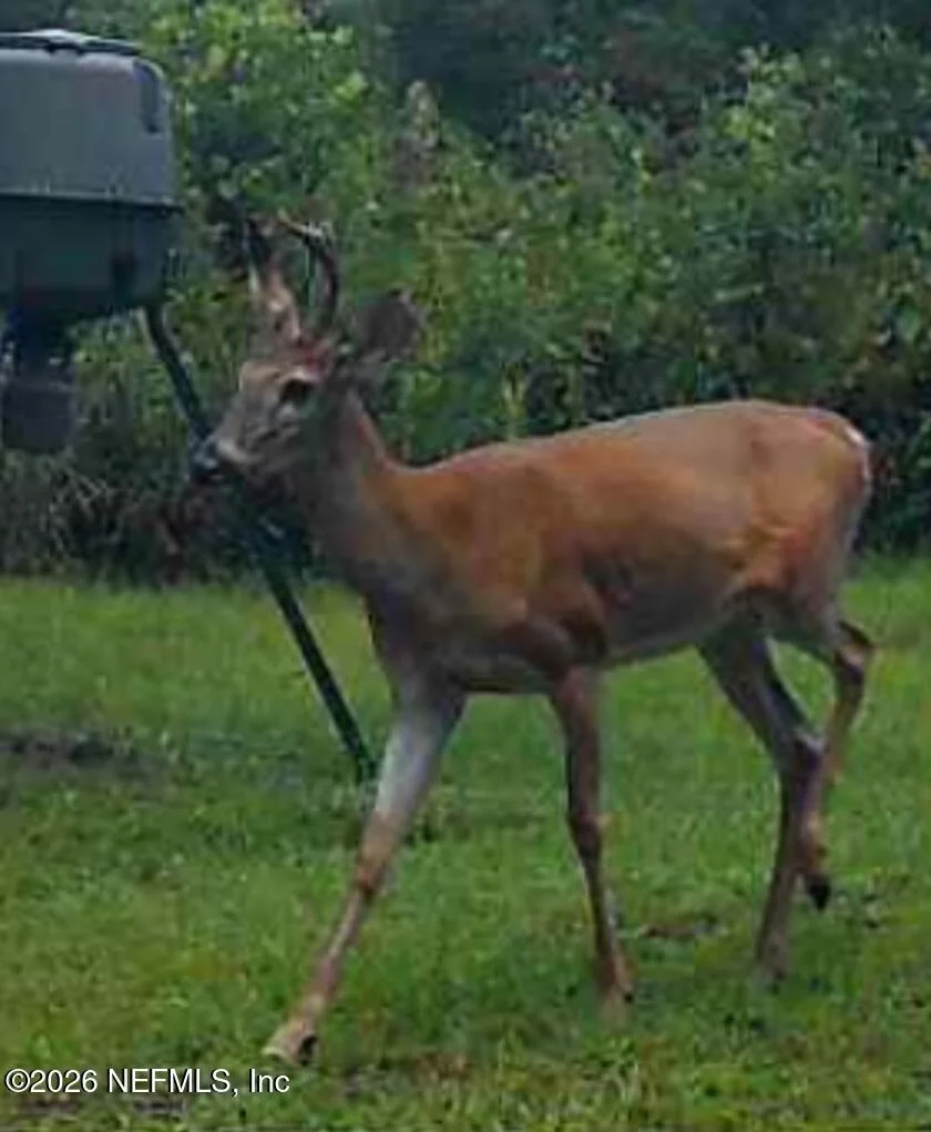 Photo of 9910 W STATE ROAD 100