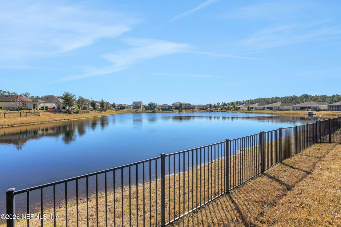 Photo of 82 TREE FROG Way