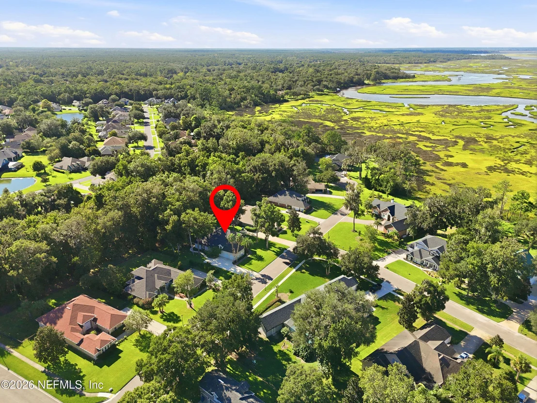 Photo of 2878 AMELIA BLUFF Drive