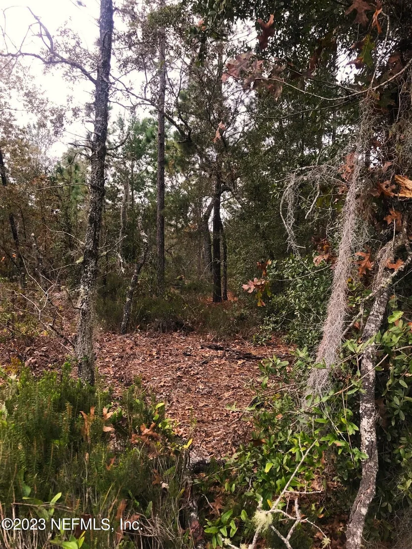 Photo of LOTS 33&34 MONROE Street