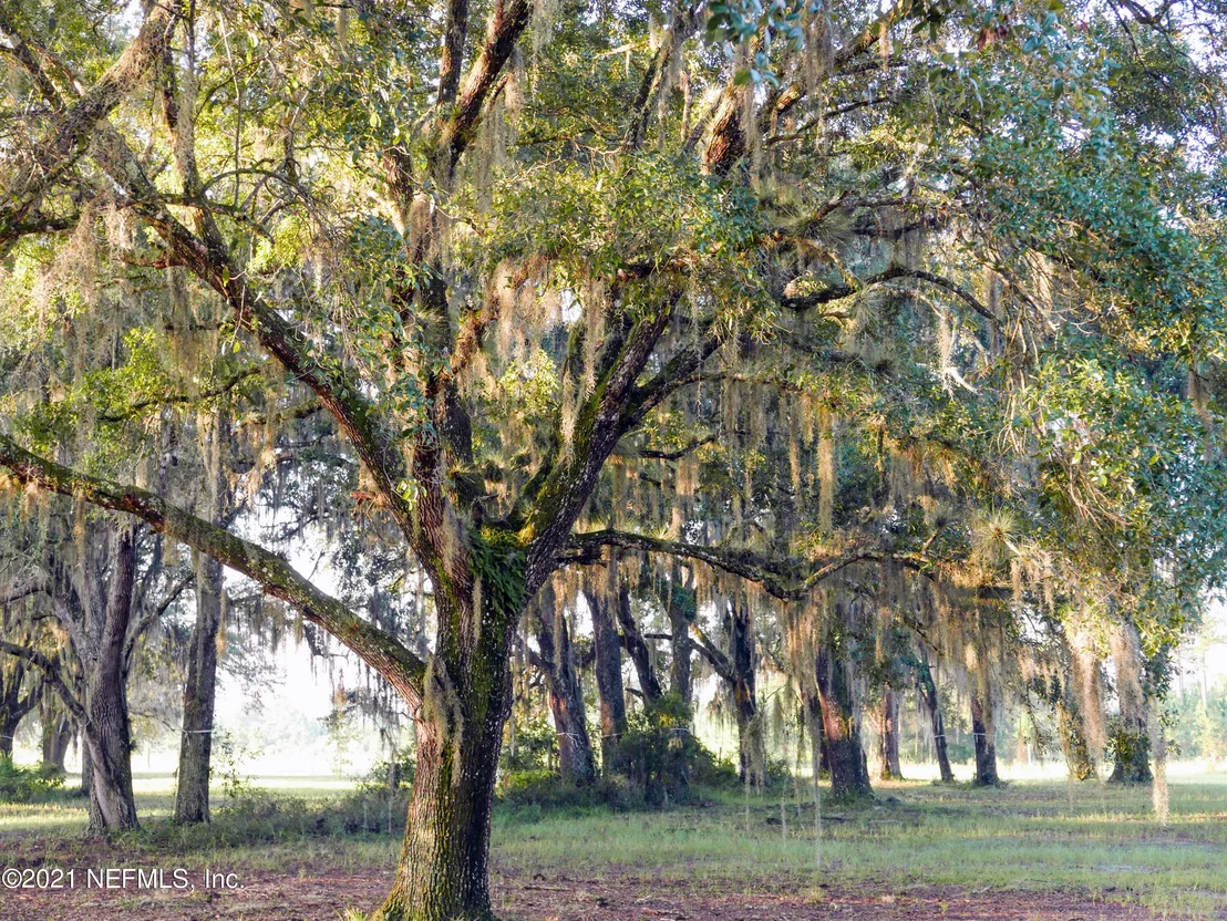 Photo of 754 FARMFIELD Drive