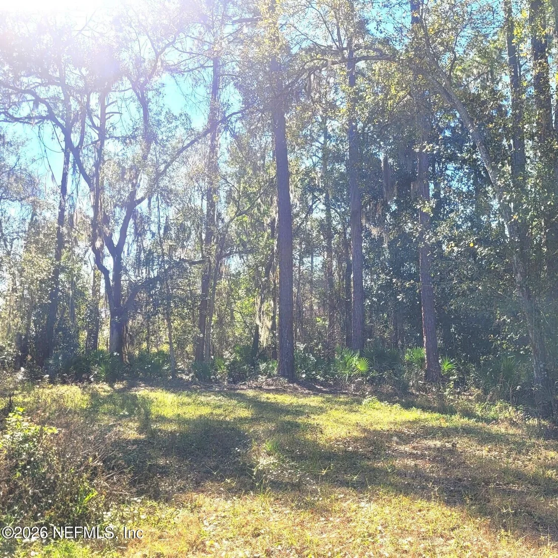 Photo of 000 MOSS Drive